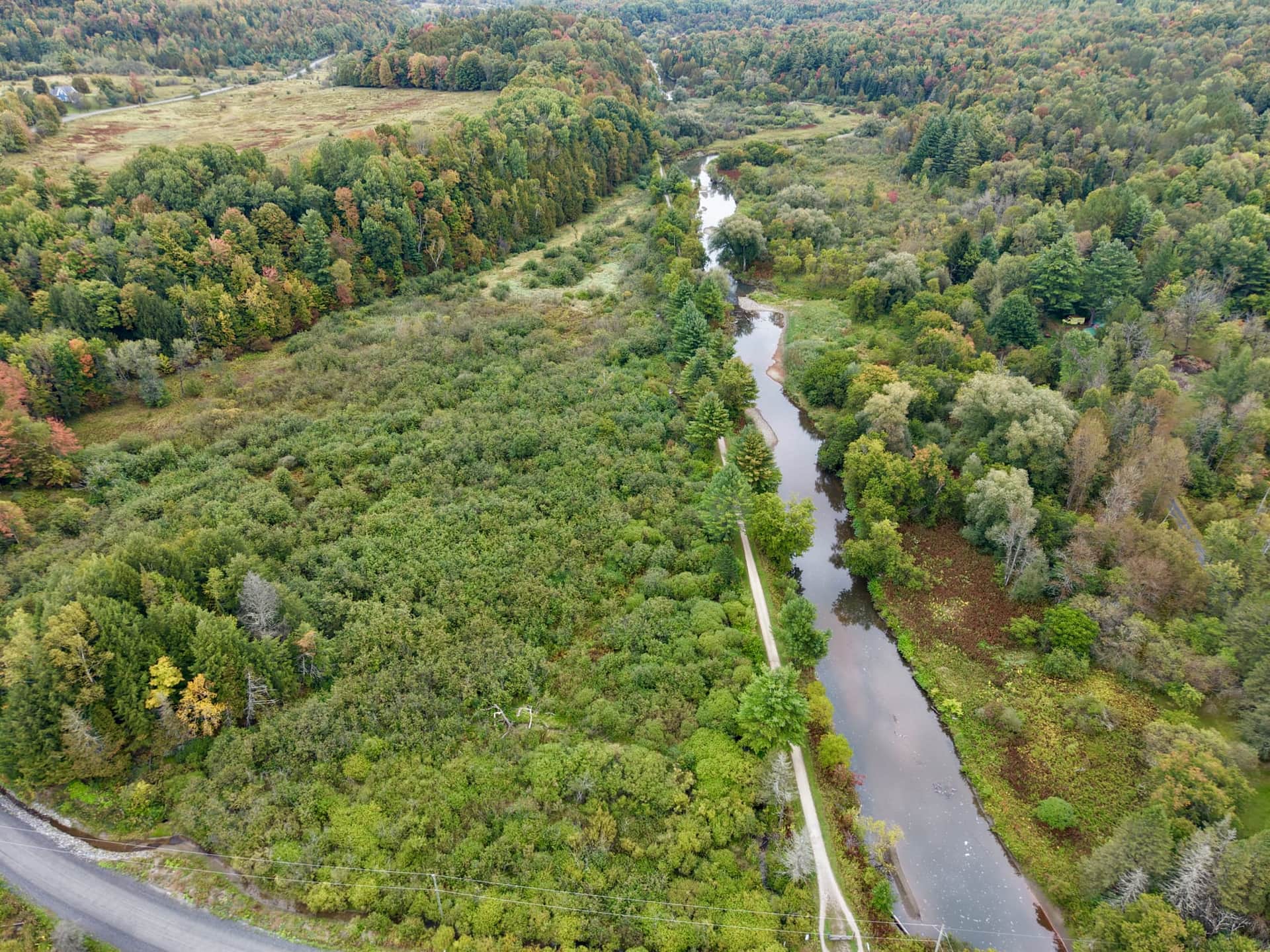 Vue aérienne de la rivière Tomifobia qui serpente dans la forêt, le sentier à ses côtés.