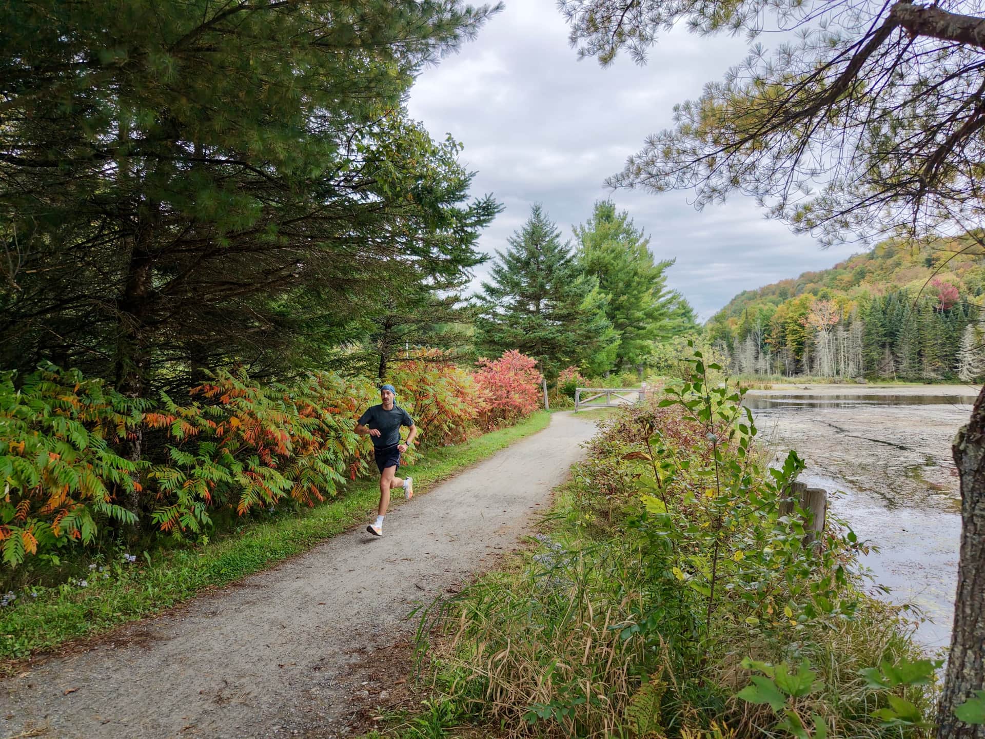 Un coureur sur le Sentier Nature Tomifobia, entre les sumacs rougissants et un étang.