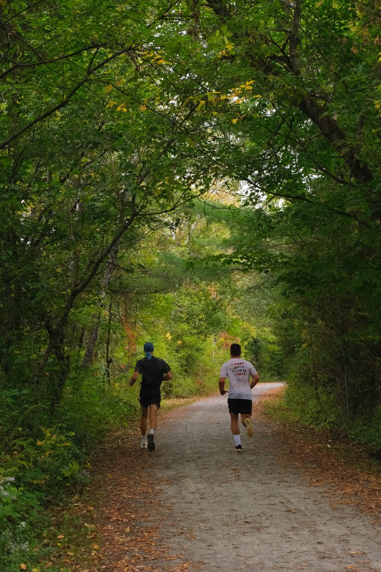 Deux coureurs sous un tunnel d'arbres sur le Sentier Nature Tomifobia.